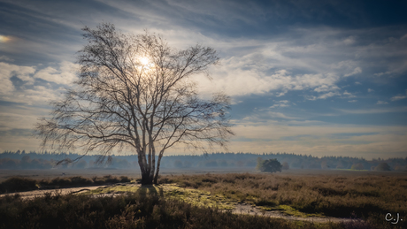 Ermelose heide