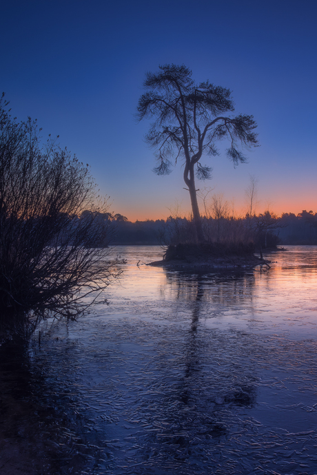 Winterwonderland aan de Oisterwijkse vennen