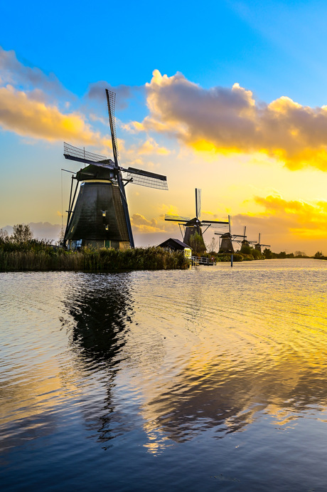 Mooie ochtend in Kinderdijk 