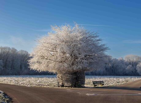 Winterse dag