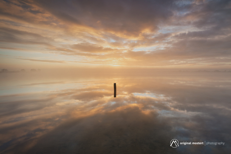 Reflections of Fantasy...