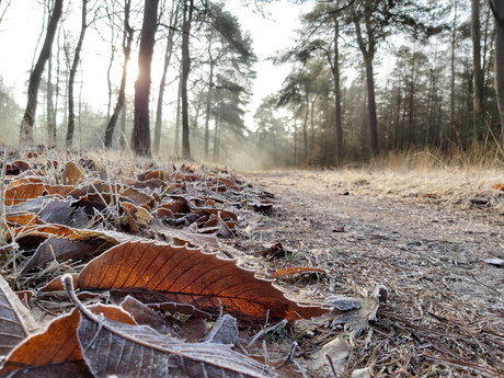 Beetje winterweer