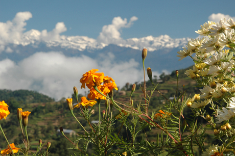 Uitzicht op Himalaya