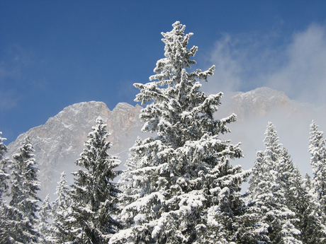 Ehrwalder Alm