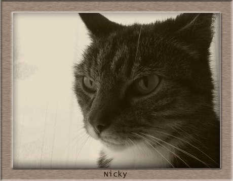 Nicky