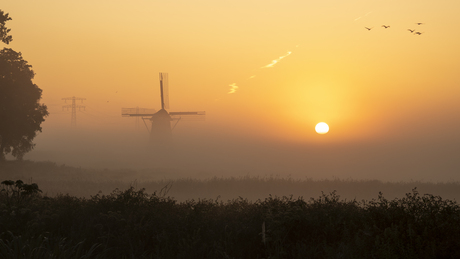 Friese polders
