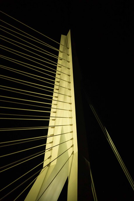 Erasmusbrug in het donker
