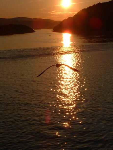 zonsondergang in het oslofjord