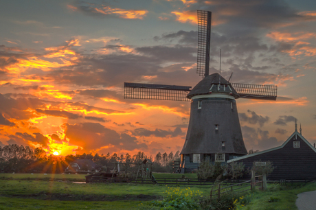 hollandsglorie in avondrood.jpg