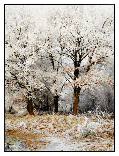 Winter in Friesland