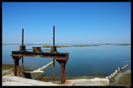 La Camargue 4