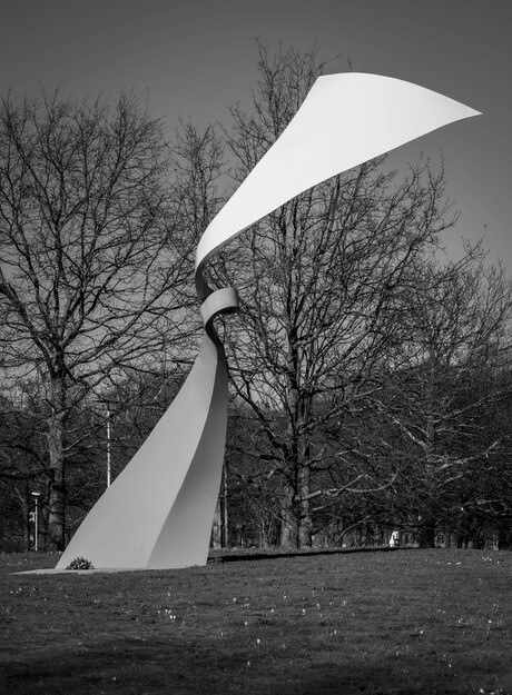 Den Haag in 100 foto's