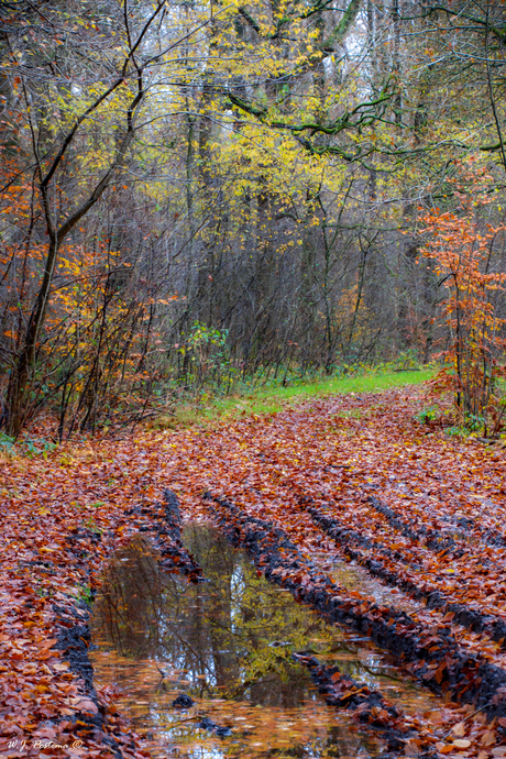 Herfst.