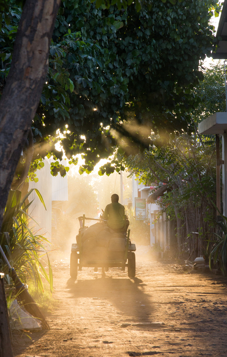 Afternoon light