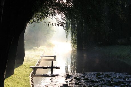 Doorkijkje met mist