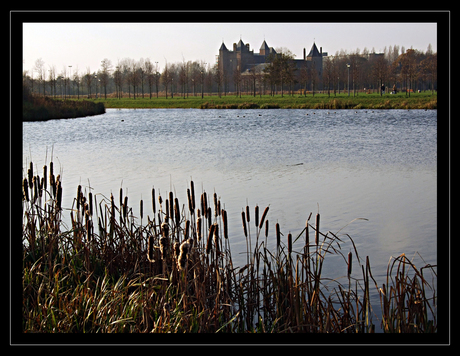 opdracht landschap