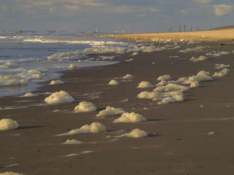 strand Texel