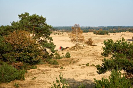 Kootwijkerzand