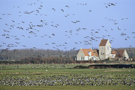 Gevuld landschap