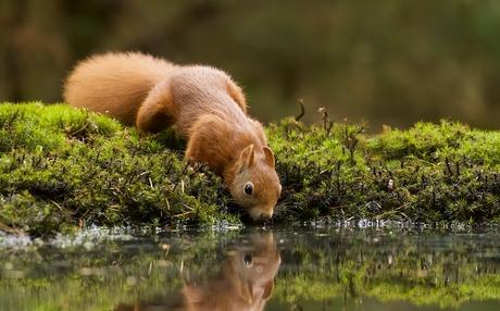 Wat een dorst...