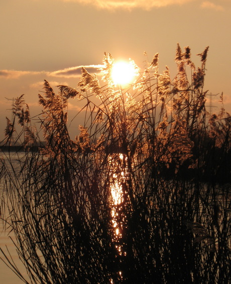 Heb de zon zien zakken...