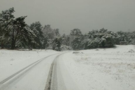 winter hoge veluwe