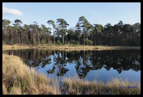 Wandelen bij Oisterwijk