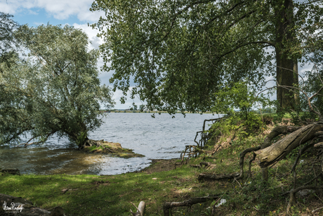 Nederrijn