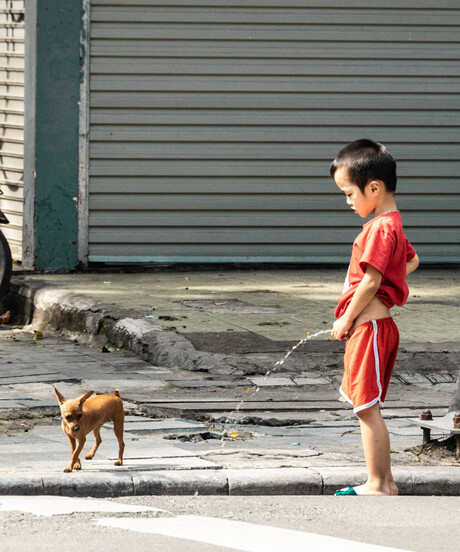 De hond pesten