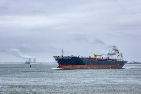 Zeeschepen spotten in Zeeuws Vlaanderen