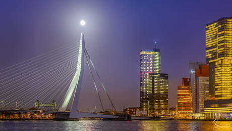 Rotterdam| Volle Maan
