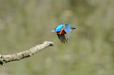 Take off !