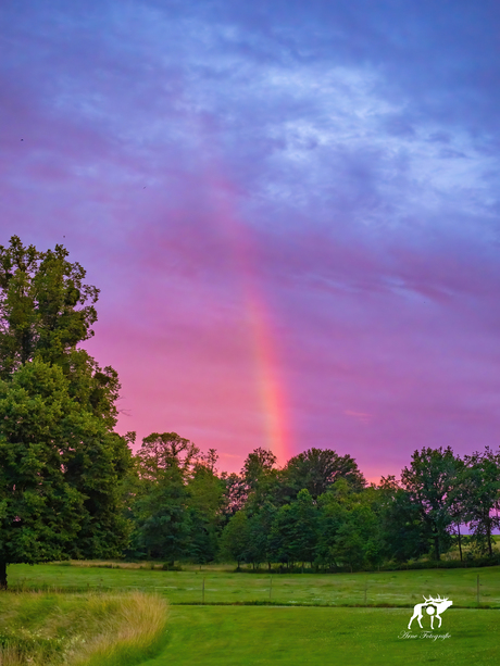 Regenboog in de avond 