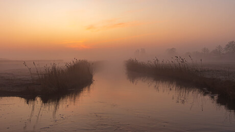 Misty mornings