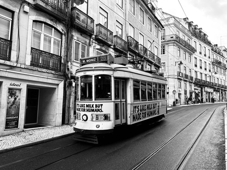 Lissabon tram