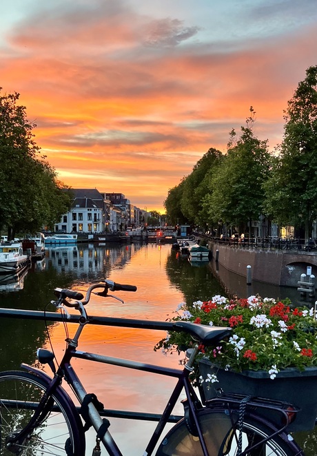 Een typisch Nederlands beeld, de fiets en de gracht