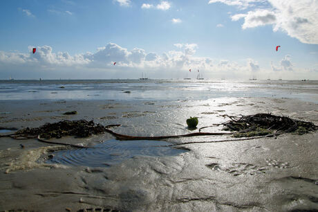 wad .terschelling