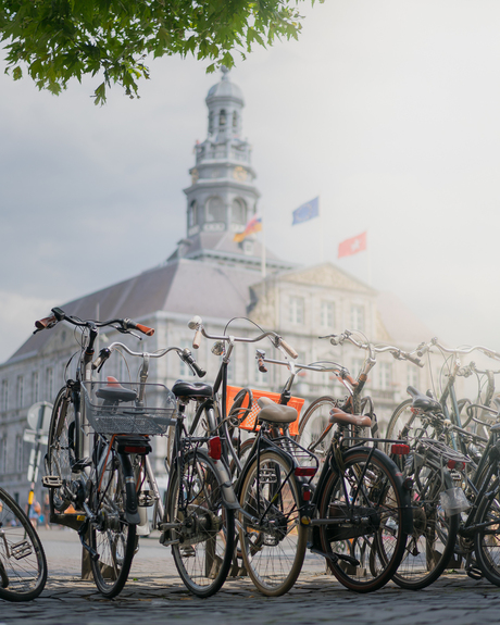 Het Stadhuis van Maastricht