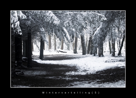 Wintervertelling (5)