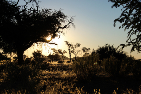 zonsopgang Namibië