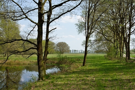 Uitzicht naar het zuiden.