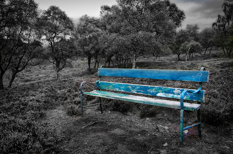 Bench.......