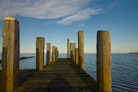 De Wadden-Cocksdorp