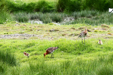 De familie op stap ...