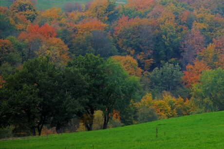 herfstkleuren