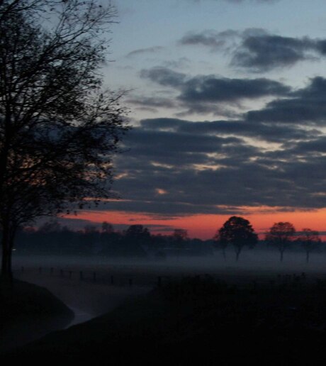 Mist in Rheeze