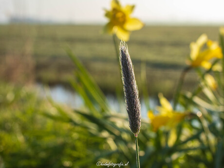 In de vroege ochtend. 