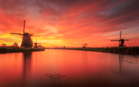 Fijn wakker worden bij Kinderdijk 