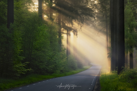 Veluwe Sprielderweg