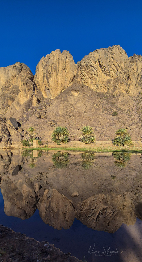 Water reflectie berg en bomen
